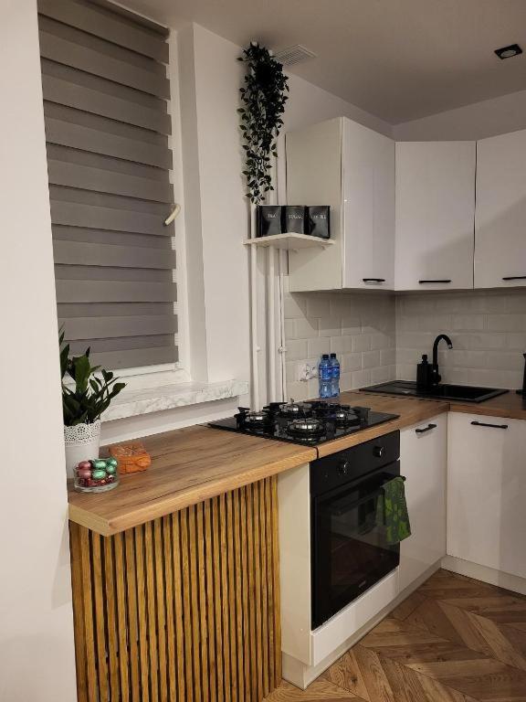 Apartament M&K Z Widokiem Na Stare Miasto Zamosc  Exterior photo